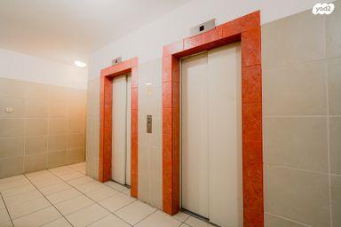 דב ברייר 1,אשקלון